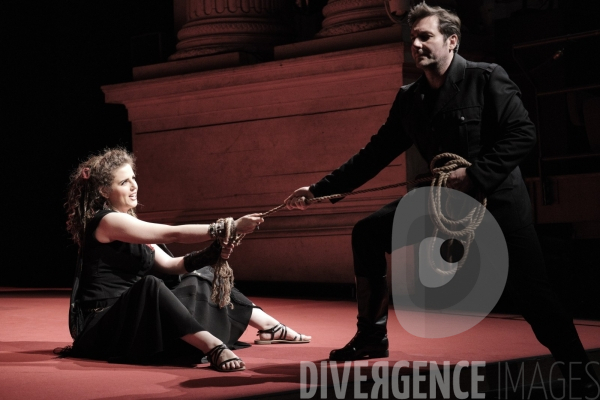 La Tragédie de Carmen / Florent Siaud