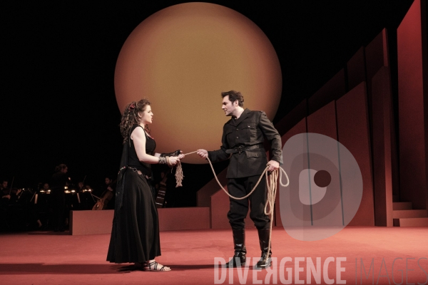 La Tragédie de Carmen / Florent Siaud