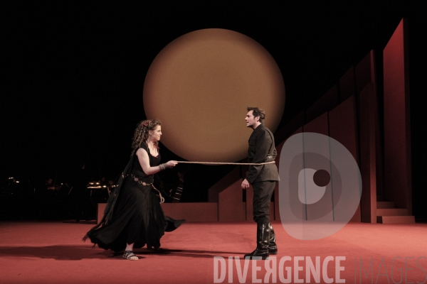 La Tragédie de Carmen / Florent Siaud
