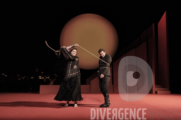 La Tragédie de Carmen / Florent Siaud