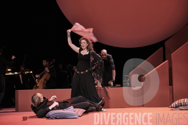 La Tragédie de Carmen / Florent Siaud