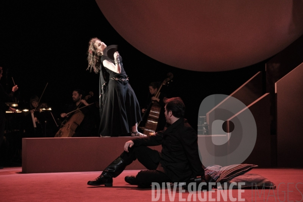 La Tragédie de Carmen / Florent Siaud