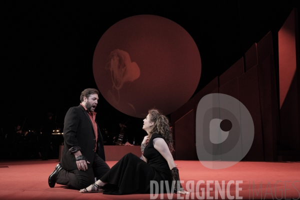 La Tragédie de Carmen / Florent Siaud
