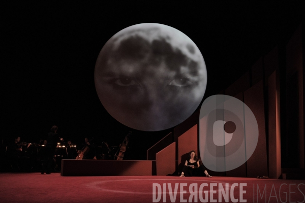 La Tragédie de Carmen / Florent Siaud