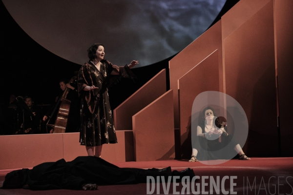 La Tragédie de Carmen / Florent Siaud