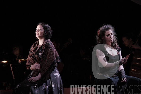 La Tragédie de Carmen / Florent Siaud