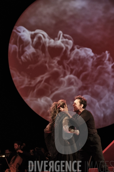 La Tragédie de Carmen / Florent Siaud