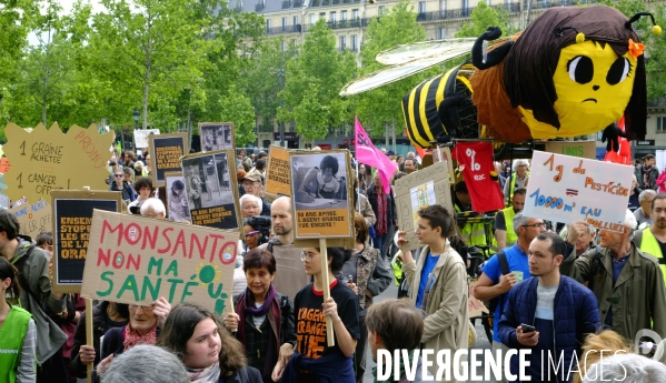 La Marche mondiale contre Monsanto/Bayer et pour la défense des abeilles