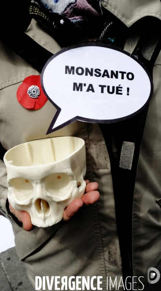 La Marche mondiale contre Monsanto/Bayer et pour la défense des abeilles