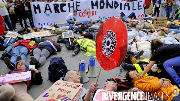 La Marche mondiale contre Monsanto/Bayer et pour la défense des abeilles