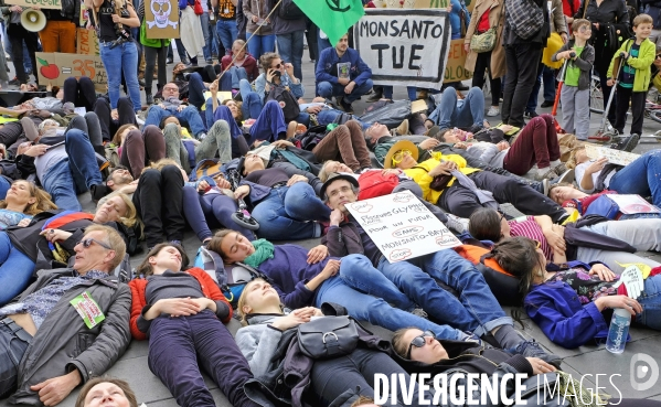 La Marche mondiale contre Monsanto/Bayer et pour la défense des abeilles