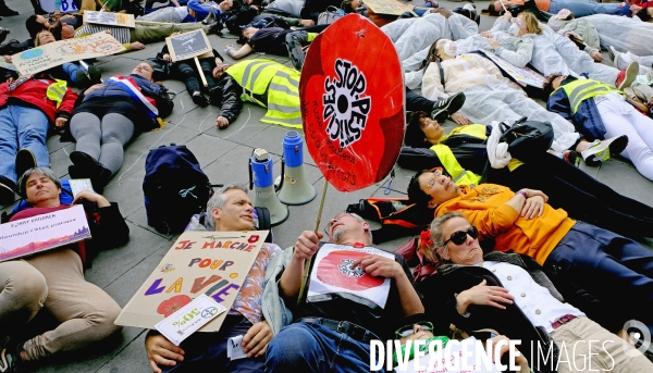 La Marche mondiale contre Monsanto/Bayer et pour la défense des abeilles