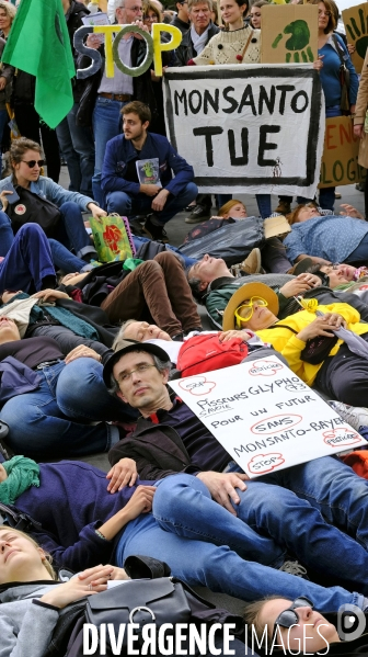 La Marche mondiale contre Monsanto/Bayer et pour la défense des abeilles