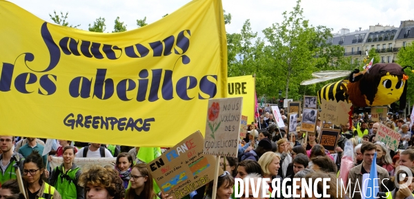 La Marche mondiale contre Monsanto/Bayer et pour la défense des abeilles