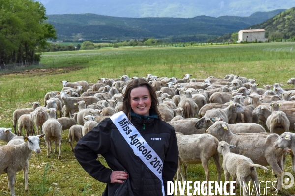 Rencontre avec Miss France agricole 2019