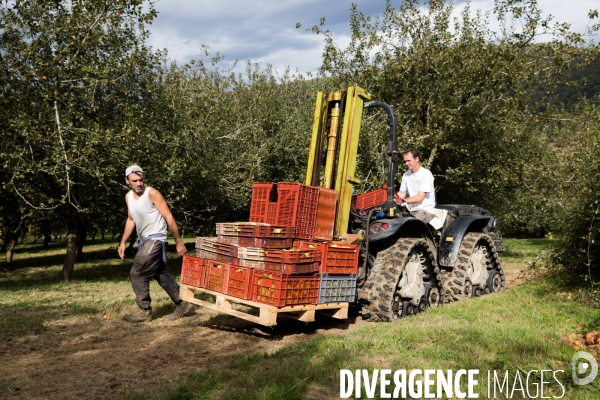Producteur de cidre au Pays basque