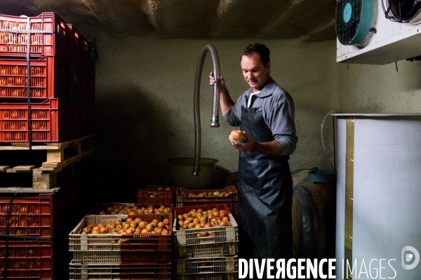 Producteur de cidre au Pays basque