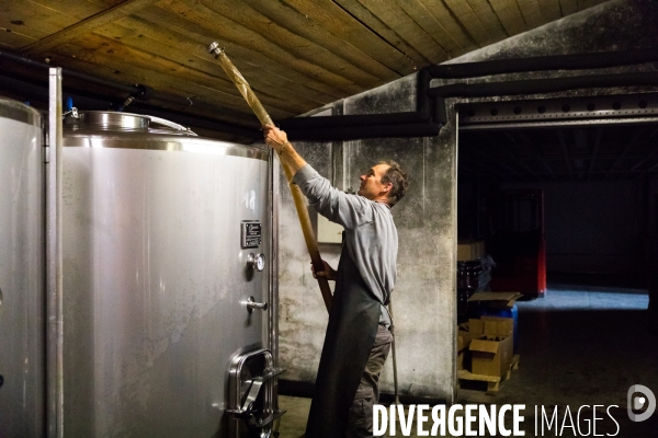 Producteur de cidre au Pays basque