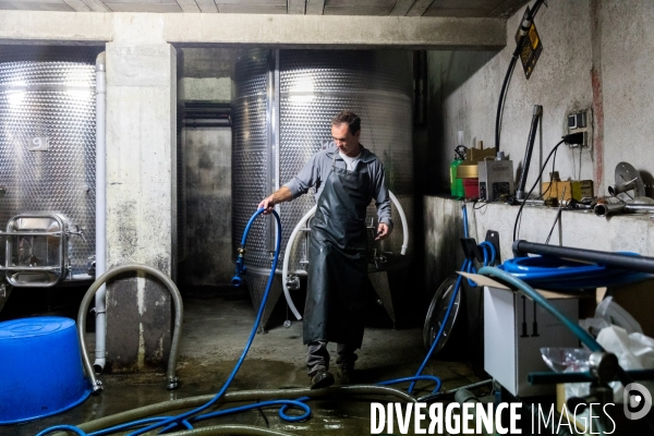 Producteur de cidre au Pays basque