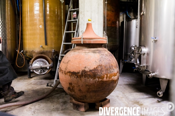 Producteur de cidre au Pays basque