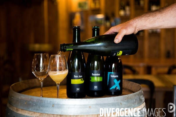 Producteur de cidre au Pays basque