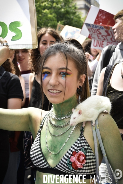 Greve mondiale pour le climat, étudiants et scolaires. Global strike for the climate with youth