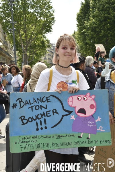 Greve mondiale pour le climat, étudiants et scolaires. Global strike for the climate with youth