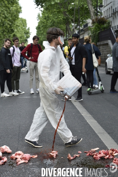 Greve mondiale pour le climat, étudiants et scolaires. Global strike for the climate with youth