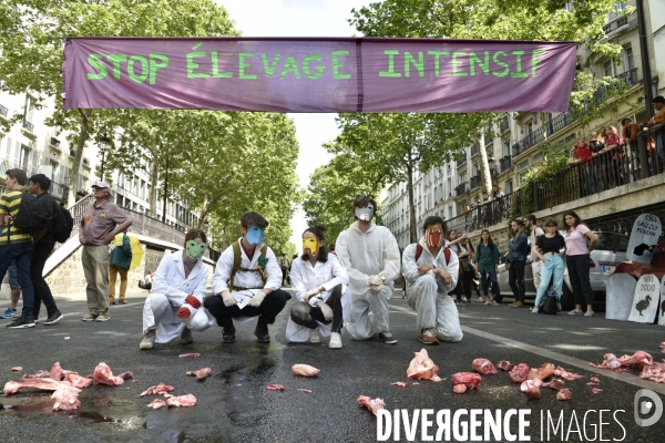 Greve mondiale pour le climat, étudiants et scolaires. Global strike for the climate with youth