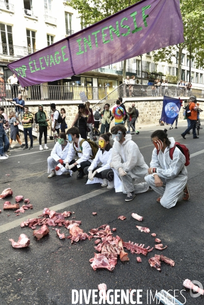 Greve mondiale pour le climat, étudiants et scolaires. Global strike for the climate with youth