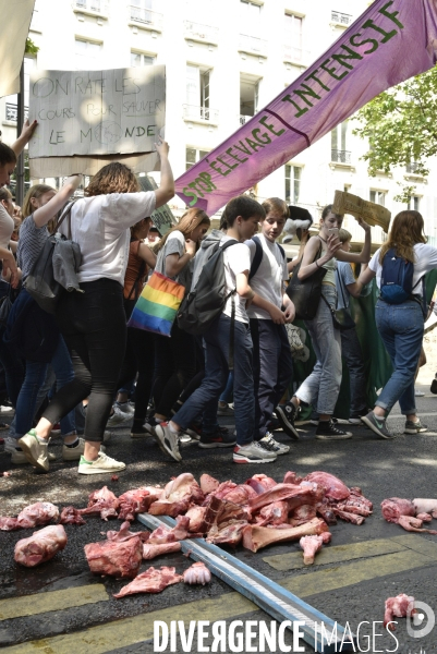 Greve mondiale pour le climat, étudiants et scolaires. Global strike for the climate with youth