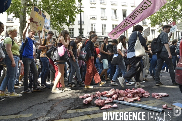 Greve mondiale pour le climat, étudiants et scolaires. Global strike for the climate with youth