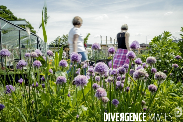 La Prairie du Canal: Ferme urbaine éphémère