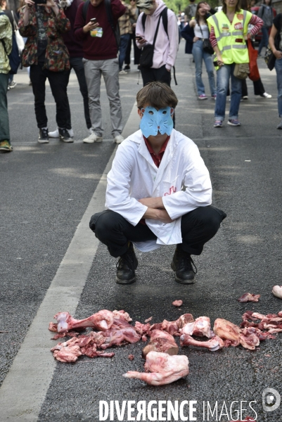 Greve mondiale pour le climat, étudiants et scolaires. Global strike for the climate with youth