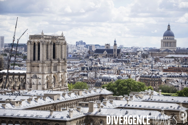 Vues de Paris, au dessus des toits.
