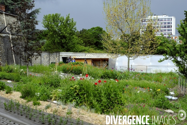 Quand Paris devient agricole...