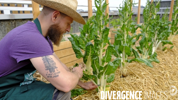 Quand Paris devient agricole...