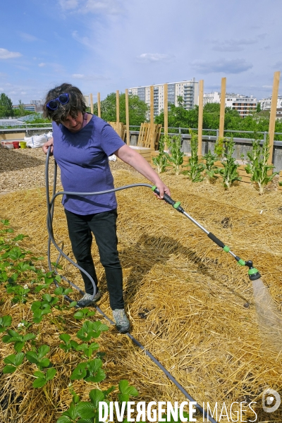 Quand Paris devient agricole...