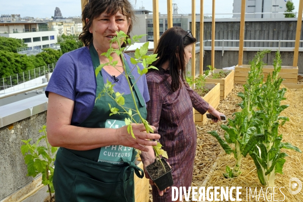 Quand Paris devient agricole...