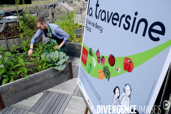 Quand Paris devient agricole...