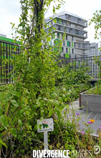 Quand Paris devient agricole...