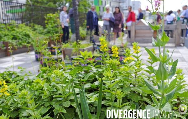 Quand Paris devient agricole...