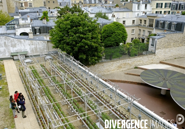 Quand Paris devient agricole...