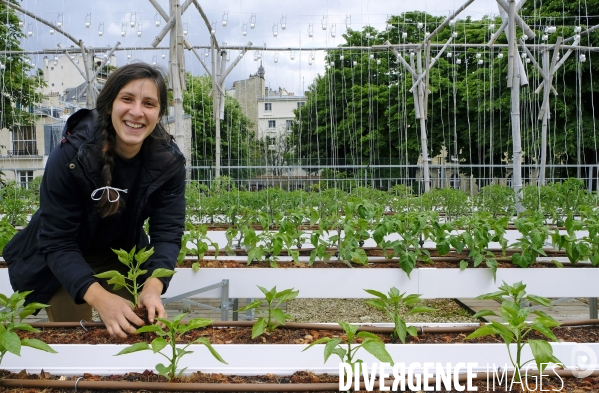 Quand Paris devient agricole...