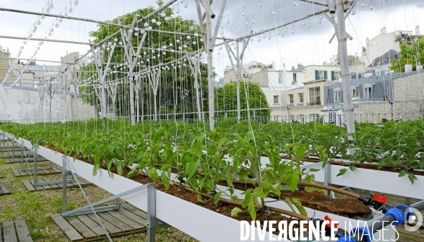 Quand Paris devient agricole...