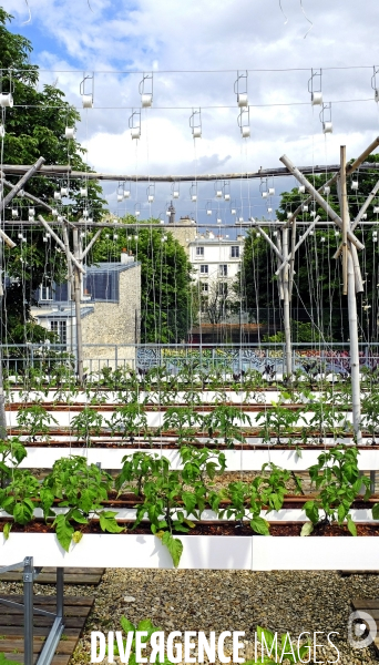 Quand Paris devient agricole...