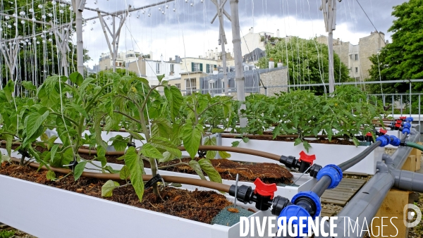 Quand Paris devient agricole...