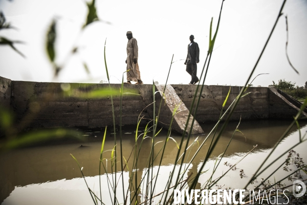 L agriculture au Mali