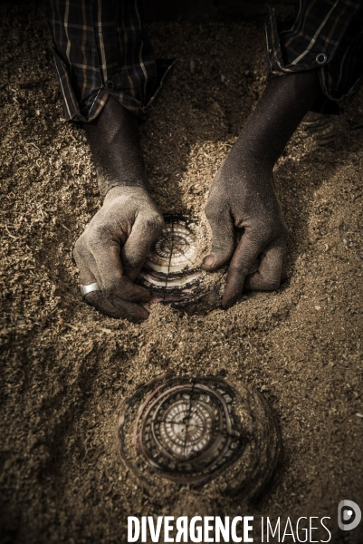 L agriculture au Mali