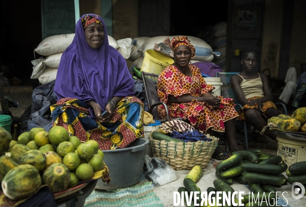 L agriculture au Mali